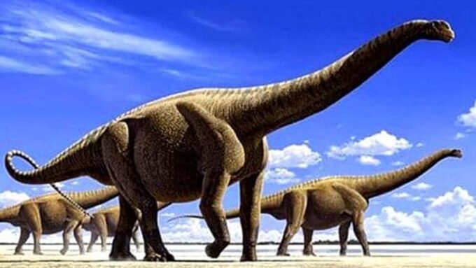 titanosaurus-titanosaure.jpg