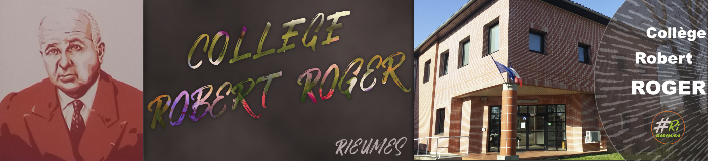 college robert roger - 31370 rieumes